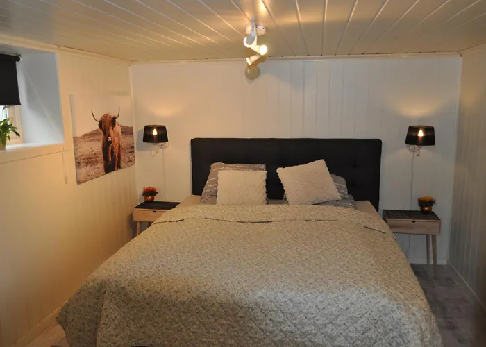 Frednes Cosy Retreat - Short Walking Distance To Centre - Free Private Parking And Internet